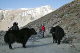 Leh Moto Tour 2009 037